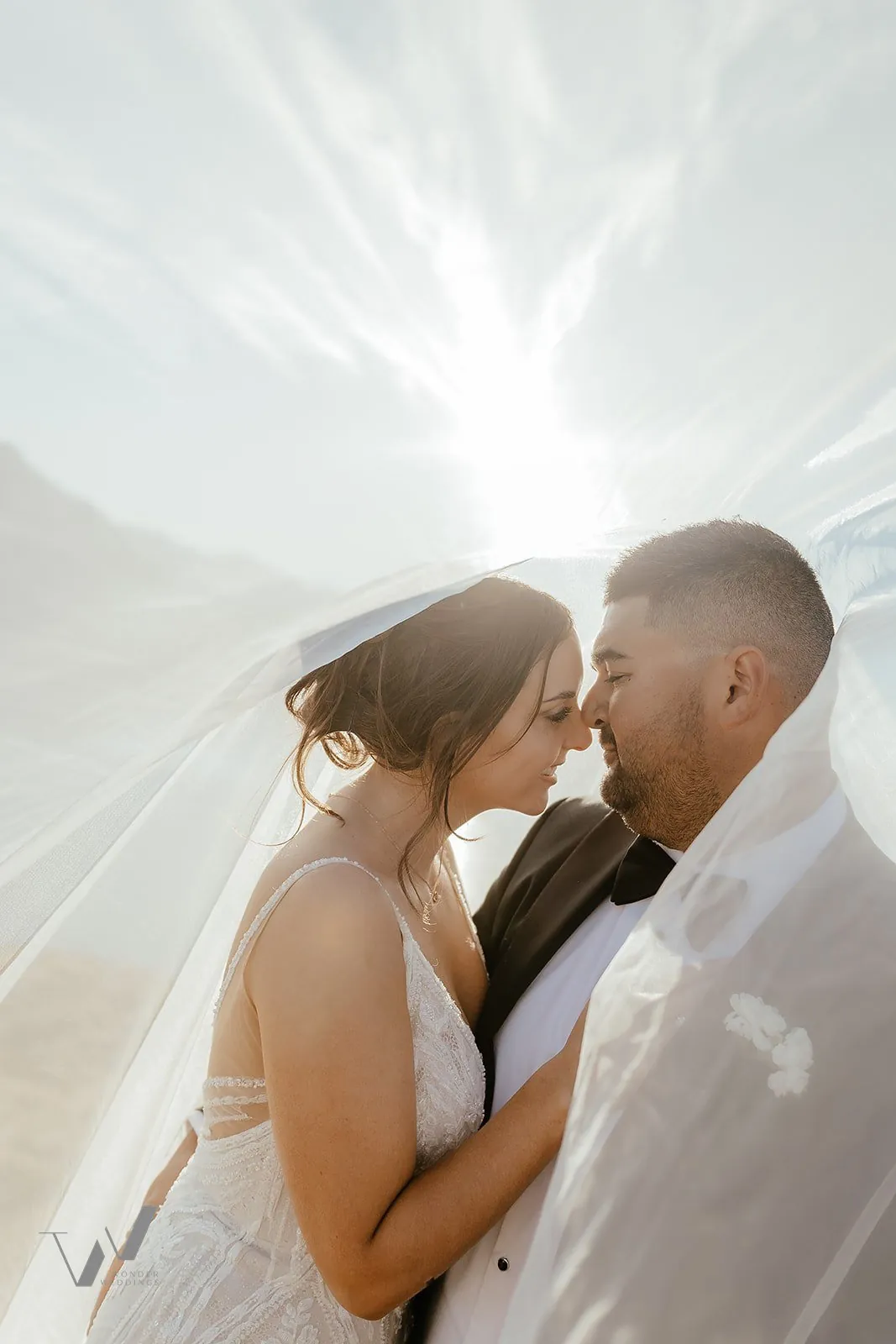 Bride and groom under a flowing veil in the mountains
